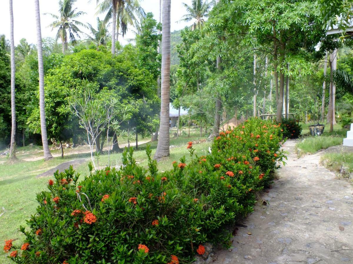 Seashell Coconut Village Тао Екстер'єр фото
